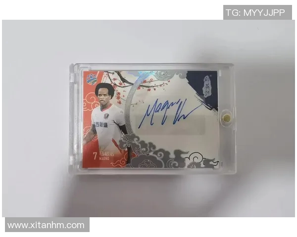 球星卡足球AFA独特魅力解析与收藏价值探讨